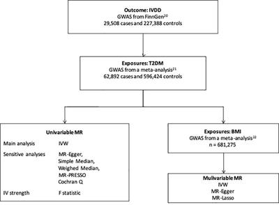 Diabetes and intervertebral disc degeneration: A Mendelian randomization study